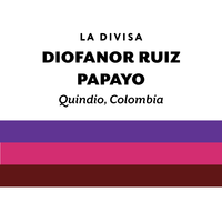 Colombia Diofanor Ruiz Papayo