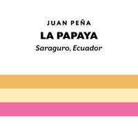 Ecuador La Papaya Typica Mejorado
