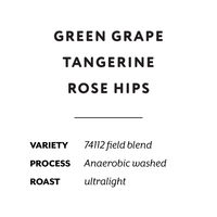 Ethiopia Rumudamo washed