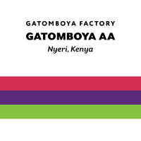 Kenya Gatomboya AA