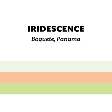 Panama Deborah Iridescence