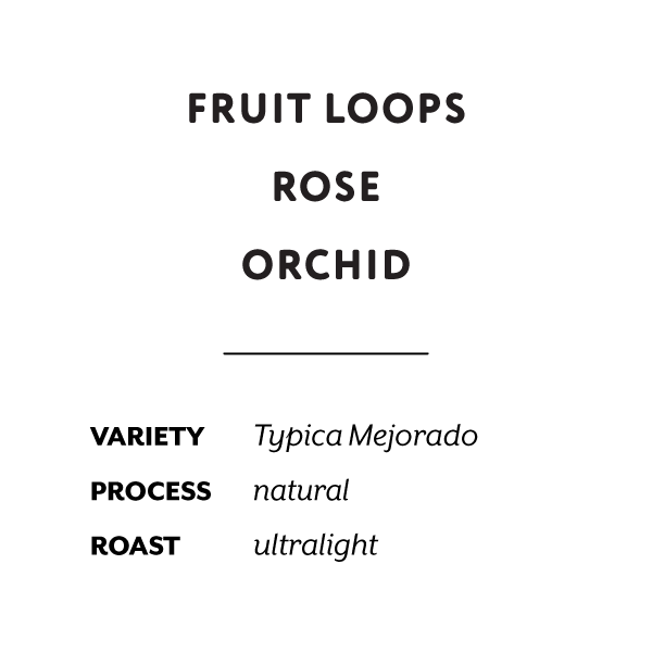 Ecuador Juan Peña Natural Mejorado