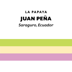 Ecuador Juan Peña Mejorado