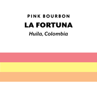 Colombia La Fortuna Pink Bourbon