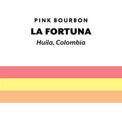 Colombia La Fortuna Pink Bourbon