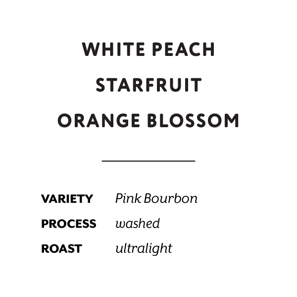Colombia La Fortuna Pink Bourbon