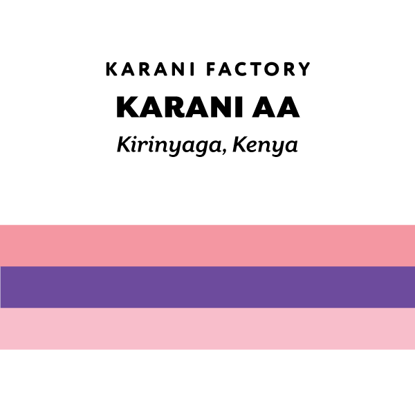 Kenya Karani AA 2026