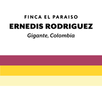 Colombia Ernedis Rodriguez