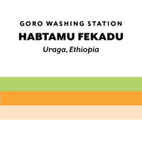 Ethiopia Habtamu Fekadu