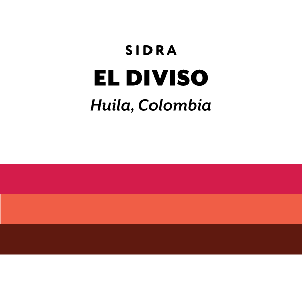 Colombia El Diviso Sidra