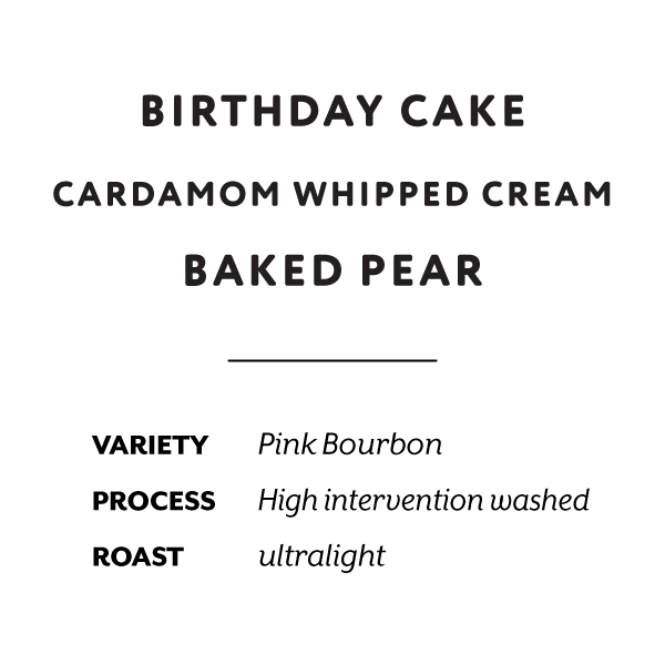 Colombia El Paraiso birthday cake