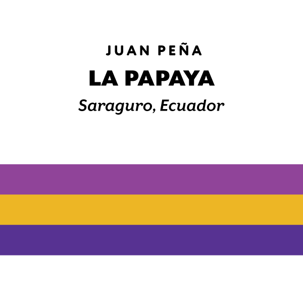Ecuador La Papaya Sidra