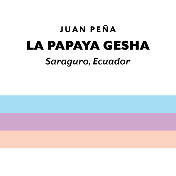 Ecuador La Papaya Gesha