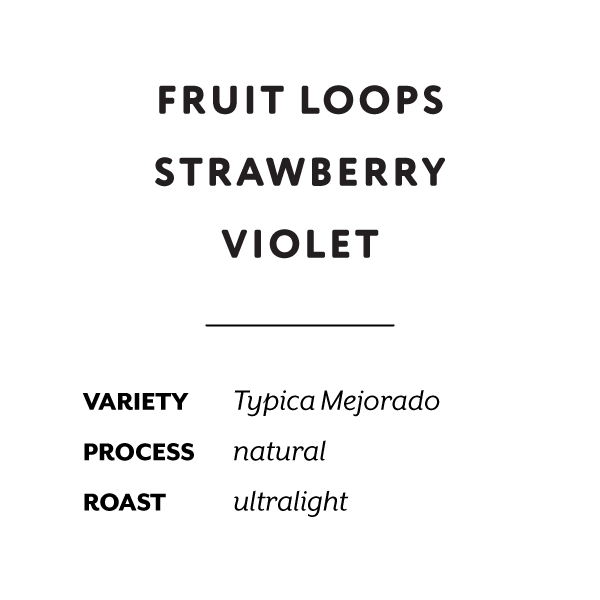 Ecuador La Papaya Reserve Mejorado