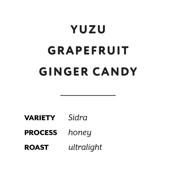 Ecuador La Reserva Sidra Honey H&S Coffee Roasters