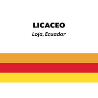 Ecuador Licaceo