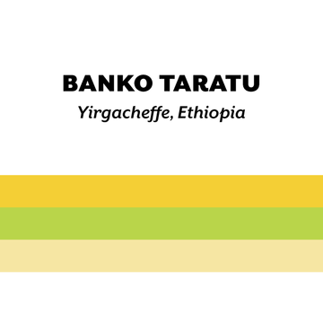 Ethiopia Banko Taratu