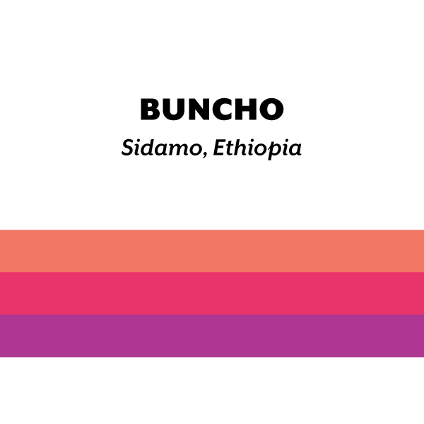 Ethiopia Buncho