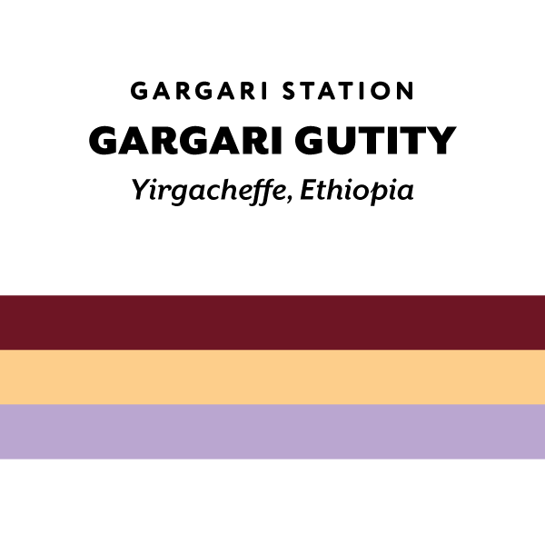 Ethiopia Gargari Gutity natural
