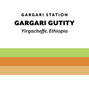 Ethiopia Gargari Gutity washed