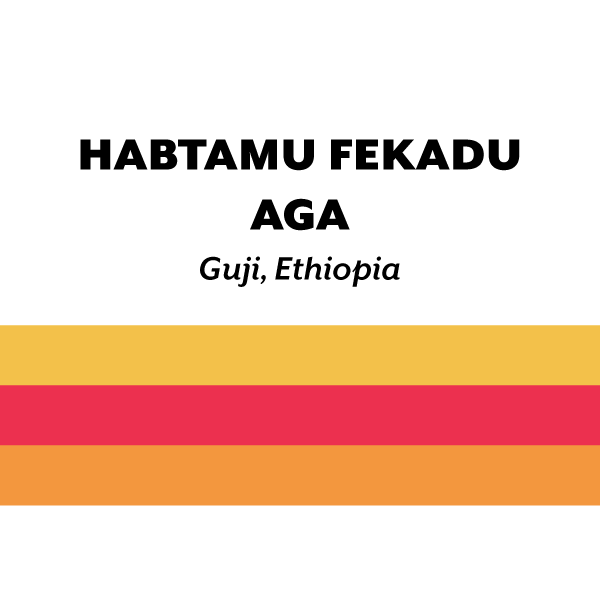 Ethiopia Habtamu Fekadu Aga