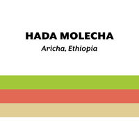 Ethiopia Hada Molecha