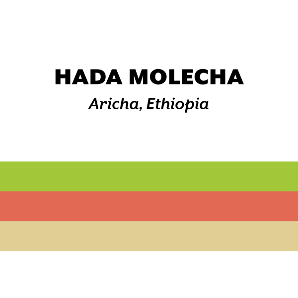 Ethiopia Hada Molecha