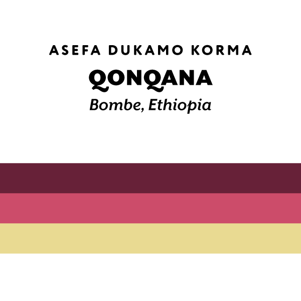 Ethiopia Qonqana