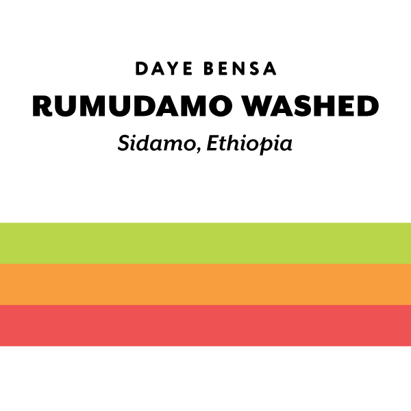 Ethiopia Rumudamo washed