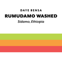 Ethiopia Rumudamo washed