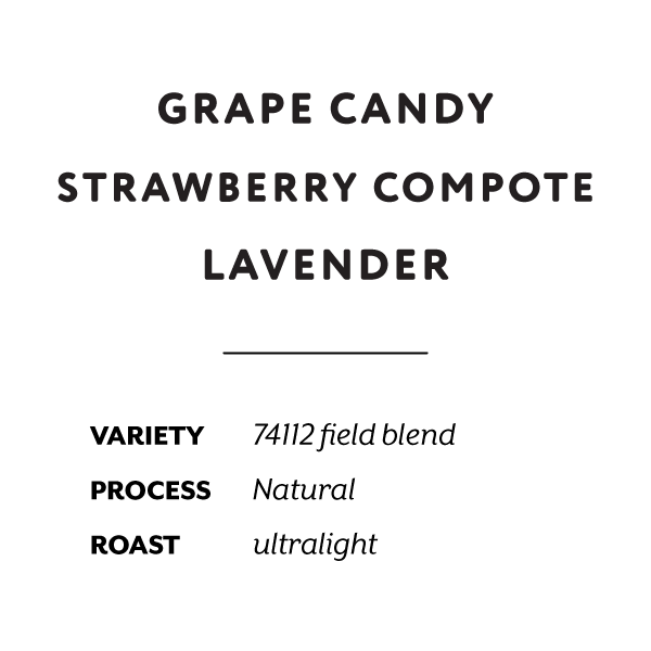 Ethiopia Rumudamo natural