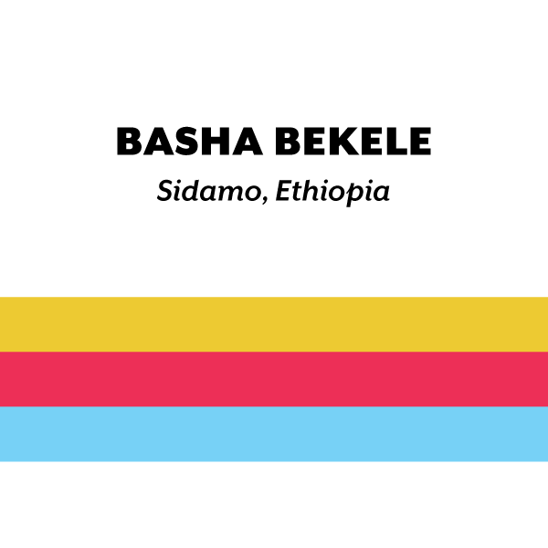 Ethiopia Basha Bekele