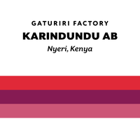 Kenya Karindundu AB