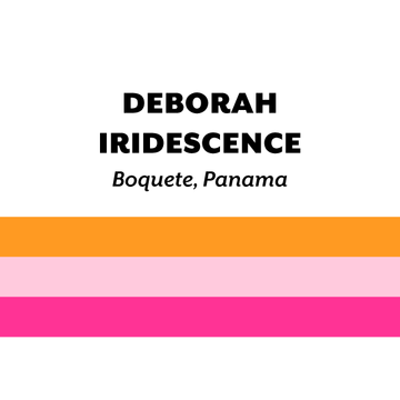 Panama Deborah Iridescence 2024