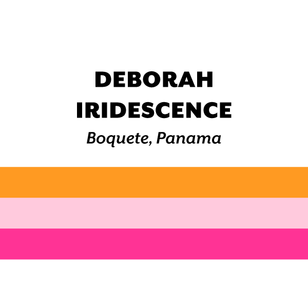 Panama Deborah Iridescence 2024