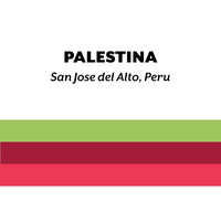 Peru Palestina