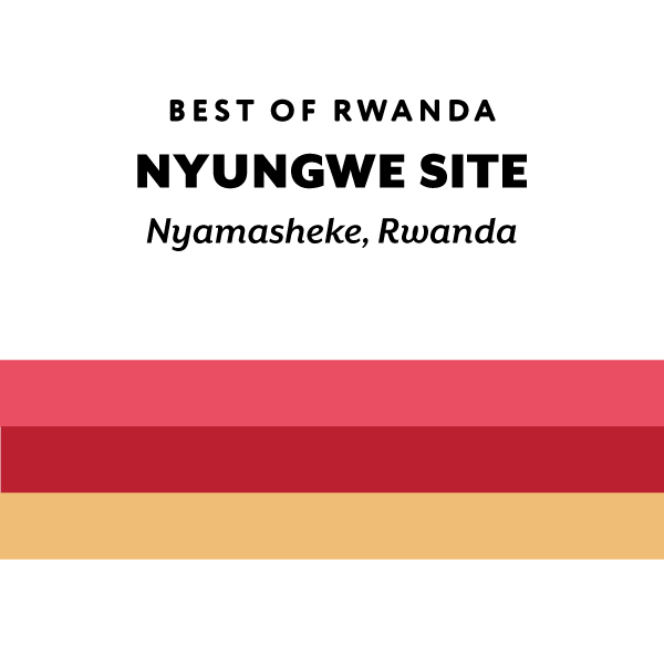 Rwanda Nyungwe Site