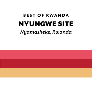 Rwanda Nyungwe Site