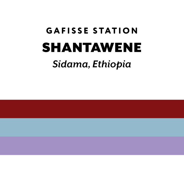 Ethiopia Shantawene Gafisse