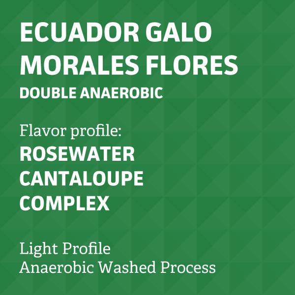 Ecuador Galo Morales Flores